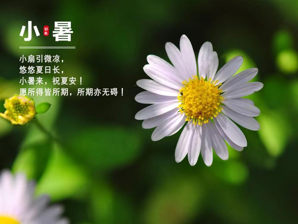 小暑代表什么意思（二十四节气——小暑）